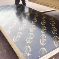 Hot sell 3/4 arrow ply phenolic board philippines